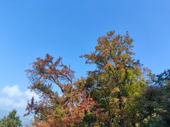 -广州市石门国家森林公园
