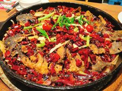 -老板恋上鱼(恒隆广场店)