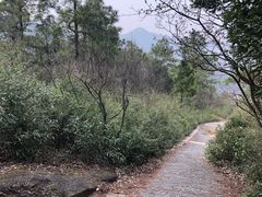 -灵岩山风景区