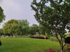 -九里河湿地公园