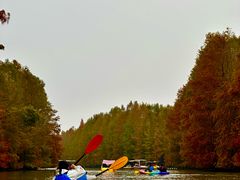 -上海海湾国家森林公园