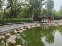 -莲湖公园