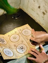 -Zoolung Zoolung动物主题公园(海信广场店)