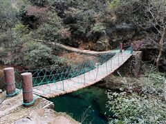 -大奇山国家森林公园