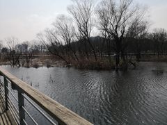 -西湖风景区-江洋畈生态公园