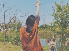 -上海长兴岛郊野公园