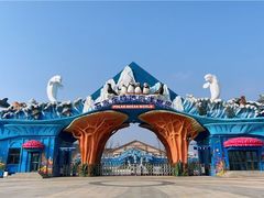 -石家庄极地海洋世界