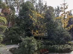 -成飞公园