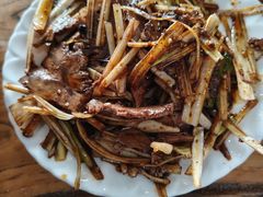 -清真马杰山牛肉汤馆