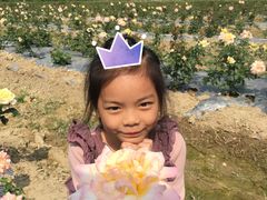 -亚龙湾国际玫瑰谷