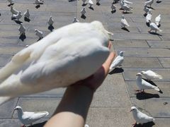 -天津妈祖文化园