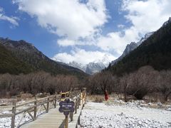 -稻城亚丁景区-冲古草甸