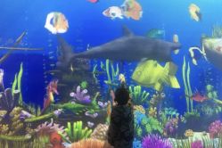 -酷嗒动物文化乐园(cutezoo西溪乐天城店)