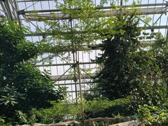 -南山植物园