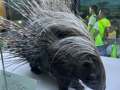 -国家自然博物馆