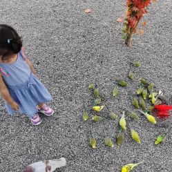 -萌宠亲子动物乐园(槐房万达店)