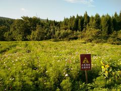 -武陵山森林公园