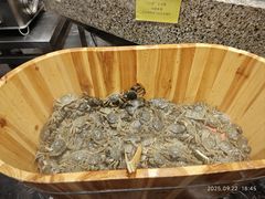 -初色海鲜自助(万丰路店)