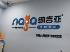 -纳吉亚猫专科动物诊疗中心(蒋宅口分院)