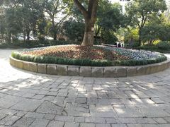 -杭州半山国家森林公园