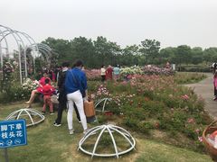 -尚贤河湿地