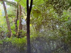 -腾冲洞山温泉村