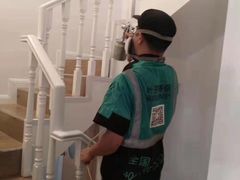 -叶子环保专业除甲醛(广州总部)