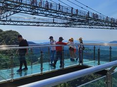 -梦幻奥陶纪景区