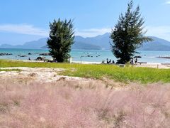 -花海间·即刻露营