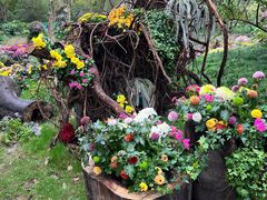 -共青国家森林公园-售票处