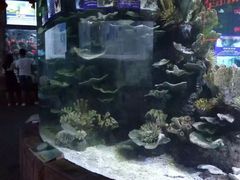 -左海海底世界