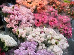 -循礼门鲜花花市(武汉循礼门店)