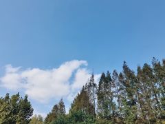 -上海野生动物园