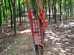-天鹿湖森林公园