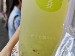 -树夏(建设路店)