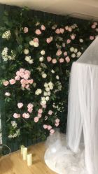 -韩国维尼小熊儿童摄影(萧山店)