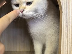 -正佳冰河湾真冰滑冰场