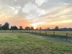 -汉长安城未央宫国家考古遗址公园