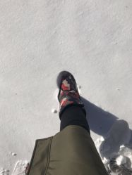 -大秃顶子山