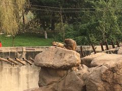 -西安秦岭野生动物园