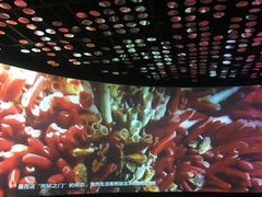-同济大学四平路校区深海探索馆