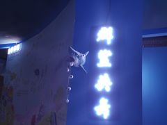 -沙沙哗啦海洋馆(华宇百花谷店)