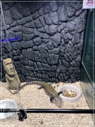 -未来动物城动物主题公园(大悦城店)