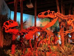 -正佳自然科学博物馆