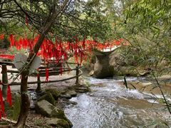 -梅州天地人花园酒店(梅县人民广场店)