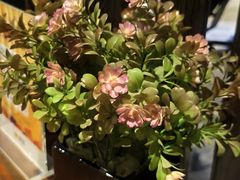 -上足·影院足道·SPA(红岭店)