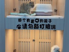 -乐宠宠物店(世纪金源店)