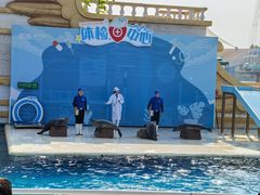 -秦皇岛乐岛海洋王国