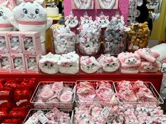 -line friends(明洞旗舰店)