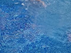 -贝贝鲸亲子游泳俱乐部(富城商楼店)